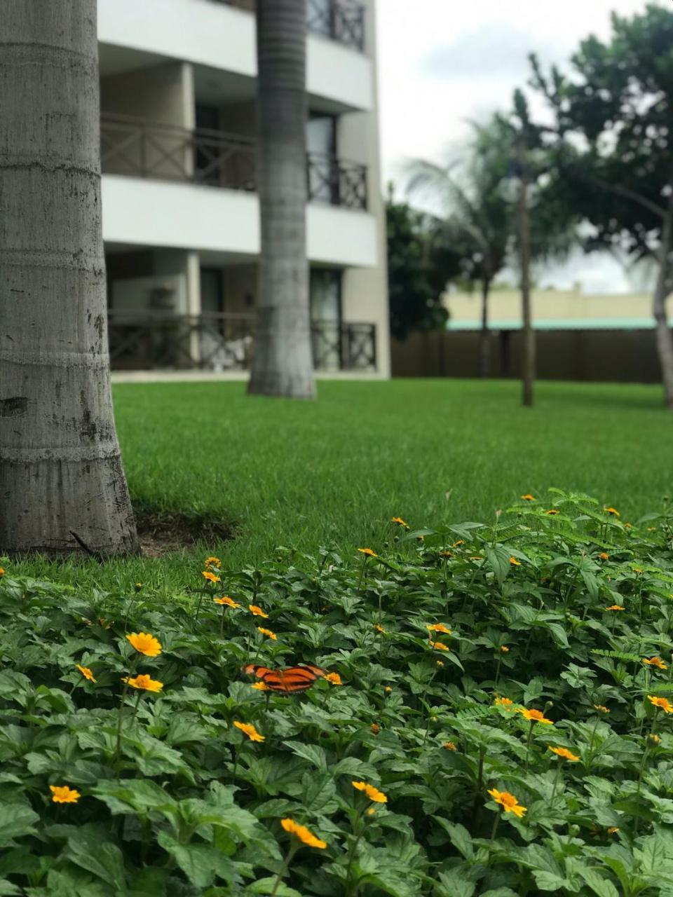 Beach Place Resort Residence อากีราซ ภายนอก รูปภาพ